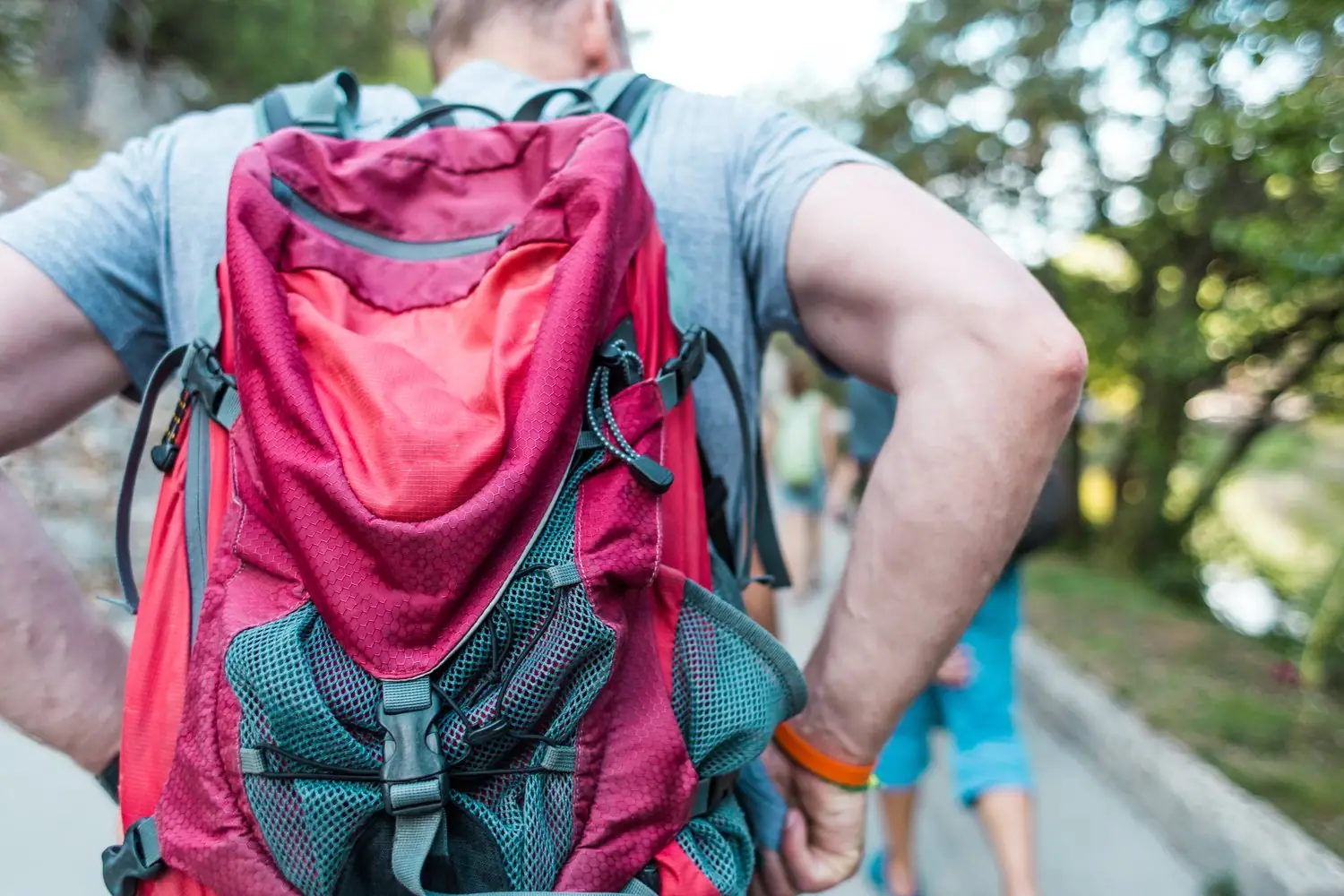 Jak wybrać plecak trekkingowy do jednodniowych wycieczek